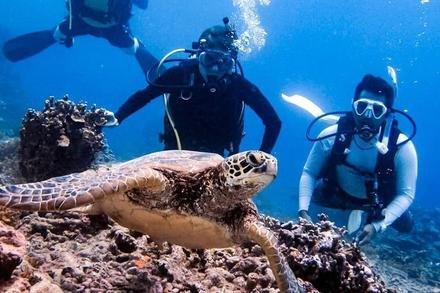 Samoa Dive & Snorkel